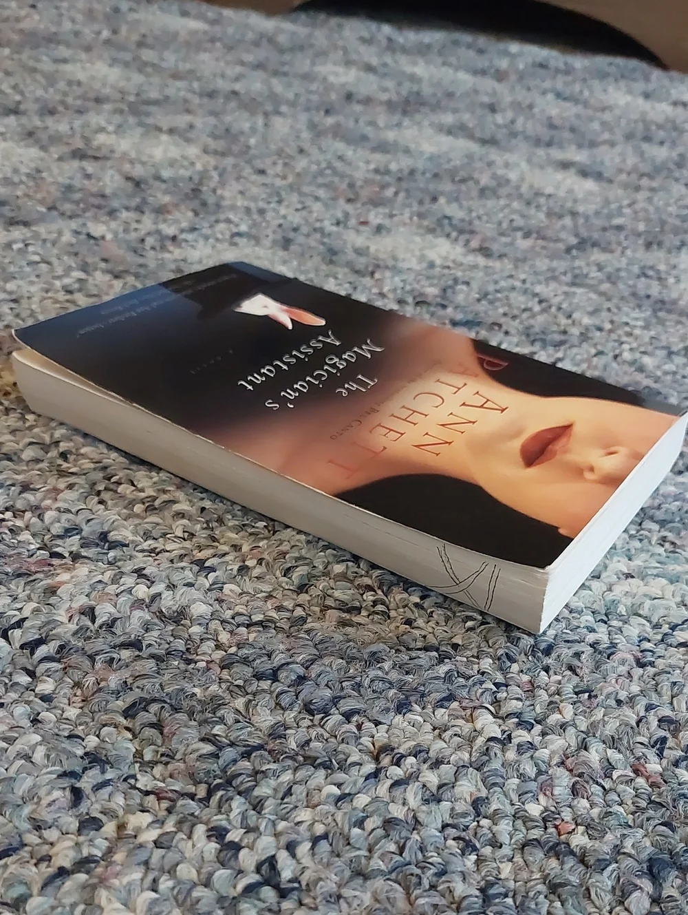 😮 3/$10! The Magician's Assistant Book